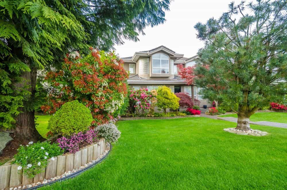 Hero image for S&A Lawn Care & Landscape